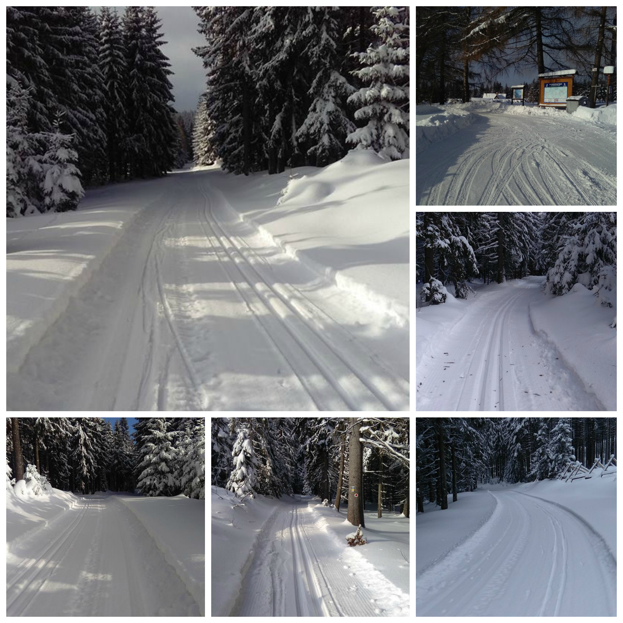 2017-01-17-vysoka-jedle-vysoka-pec-kolaz